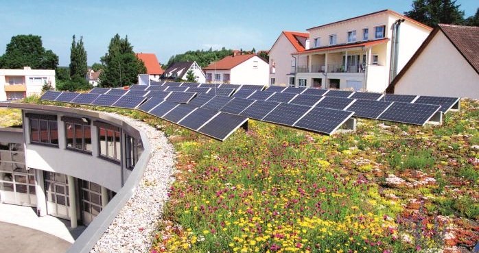 Dach biosolarny - co to jest? »