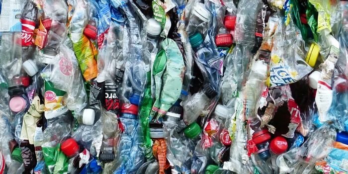 Nie spalaj plastików, segreguj odpady