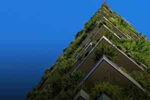 Jak dbać o rośliny na dachu? »