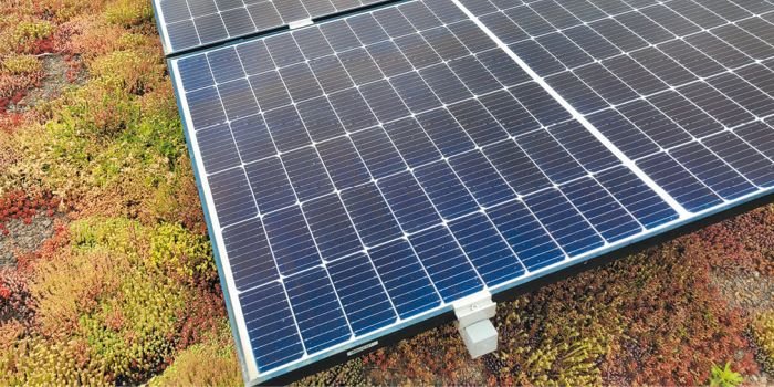 Dachy biosolarne – połączenie dachu zielonego i ogniw fotowoltaicznych jako sposób na zwiększenie efektywności instalacji PV