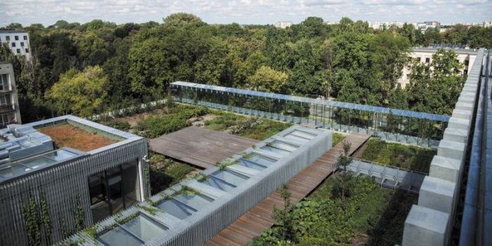 Dachy zielone jako sposób na zwiększenie atrakcyjności i walorów ekologicznych budynków komercyjnych