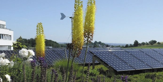 Analiza rozwiązań konstrukcyjno-materiałowych dachów i stropodachów budynków o niskim zużyciu energii – studium przypadku