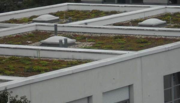 Stan techniczny dach&oacute;w zielonych wykonywanych w budynkach w Polsce