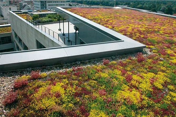Dach zielony wykonany w systemach Baudera
Bauder
