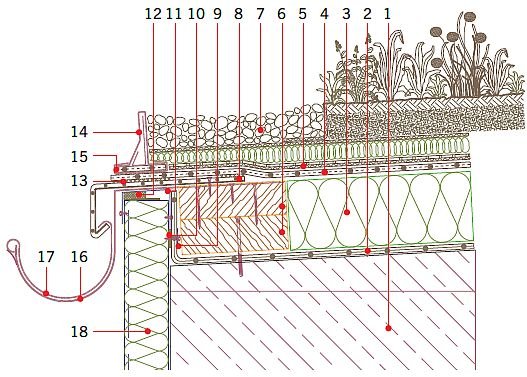 RYS. 24. Dach zielony o zazielenieniu ekstensywnym - detal przy rynnie zewnętrznej.