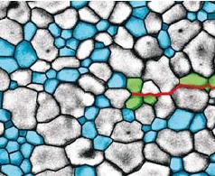 Rys. 4. Geometria modelu płaskiego odzwierciedlająca rzeczywistość, zbudowana na bazie zdjęcia mikroskopowego rzeczywistej struktury (technika wykorzystana we wcześniejszym projekcie do badań kompozytów ceramicznych)