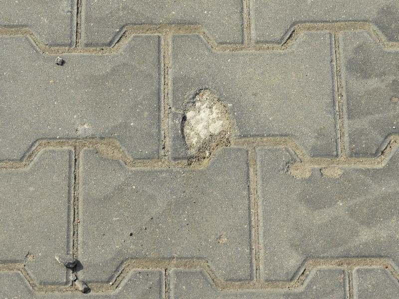 FOT. 1. Destrukcja mrozowa betonowej kostki brukowej; fot.: Ł. Mrozik