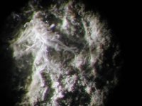 Włókna azbestowe w płycie a-c. Widok pod mikroskopem