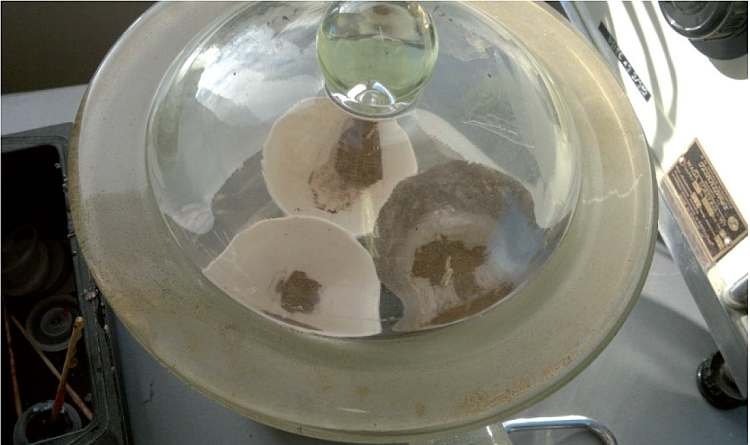 FOT. Chłodzenie próbek żużla w eksykatorze;fot. archiwa autorów