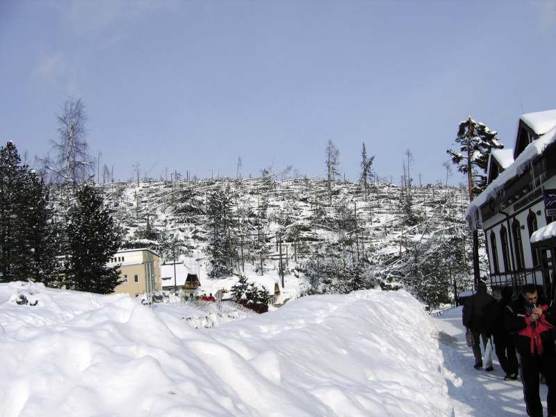 FOT. 10. Luty 2005 r., turystyczna miejscowość Smokowiec w słowackich Tatrach po przejściu huraganu w dniu 19 listopada 2004 r. Okoliczne lasy zostały zniszczone na ogromnej powierzchni kilkuset hektarów. Fot. archiwum autora