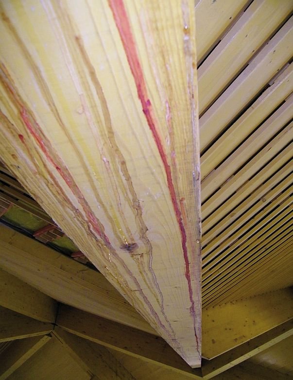 FOT. 4. Wycieki kondensatu na powierzchni dźwigarów dachowych; fot.: A. Byrdy