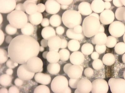 Rys. 2. Mikrogranulki PCM (BASF), szerokość obrazu ok. 1,8 mm