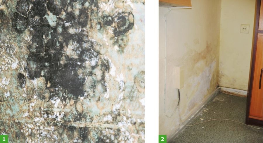 FOT. 1-2. Grzyby pleśniowe występujące na papierowej tapecie (1) oraz grzyby pleśniowe pod oknem; widoczne uszkodzenia powłoki malarskiej (2); fot.: [10]