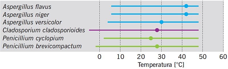 RYS. 3. Zakres temperatury występowania różnych grzybów pleśniowych. Optymalne wartości są oznaczone punktami [opracowano na podstawie 14]; rys.: autorzy