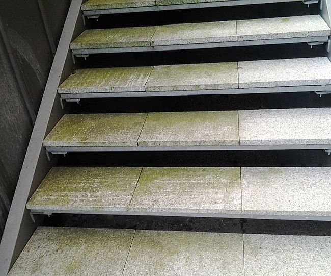 FOT. 19. Zabrudzone zielonym osadem schody z lastriko; fot.: Stowarzyszenie na Rzecz Systemów Ociepleń