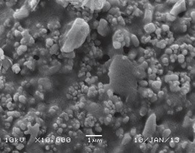 Fot. 1. Zdjęcie wykonane elektronowym mikroskopem skaningowym, przedstawiające polimerową wyprawę tynkarską