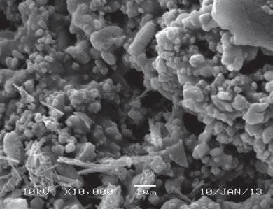 Fot. 2. Zdjęcie wykonane elektronowym mikroskopem skaningowym, przedstawiające silikonową wyprawę tynkarską