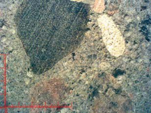 FOT. 1–2. Obraz przekroju poprzecznego betonu niemodyfikowanego (B1) wykonany mikroskopem stereoskopowym przy 10-krotnym powiększeniu