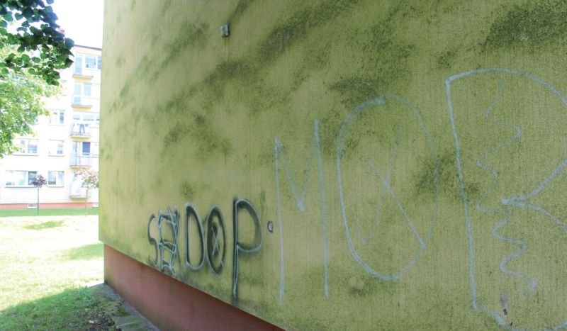 FOT. 1. Rozwój glonów na powierzchni tynku; fot.: I. Kata, Z. Stasica, W. Charyasz, K. Szafran