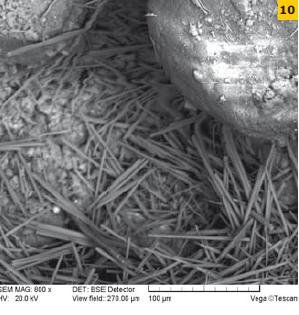 Fot. 10. Obraz mikroskopowy betonu. Porowata, luźna struktura matrycy cementowej z licznymi spękaniami. Widoczny jest etryngit o różnej morfologii, fazy C-S-H żelowe i drobnokrystaliczne, węglany wapniowe. Widoczne są też ziarna kruszywa