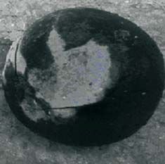 FOT. 5–6. Próbki w postaci kul uformowanych z zalew drogowych po badaniu odporności na zamrażanie według normy branżowej BN-74/6771-04 [1]: kulka rozpadła się po uderzeniu o betonowe podłoże (5), brak odprysków i pęknięć po uderzeniu (6)