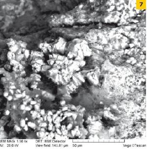 Fot. 7. Obraz mikroskopowy betonu. Porowata, luźna struktura matrycy cementowej z licznymi spękaniami. Widoczny jest etryngit o różnej morfologii, fazy C-S-H żelowe i drobnokrystaliczne, węglany wapniowe. Widoczne są też ziarna kruszywa