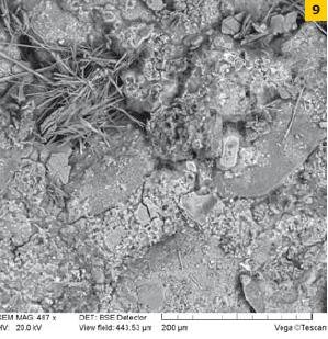 Fot. 9. Obraz mikroskopowy betonu. Porowata, luźna struktura matrycy cementowej z licznymi spękaniami. Widoczny jest etryngit o różnej morfologii, fazy C-S-H żelowe i drobnokrystaliczne, węglany wapniowe. Widoczne są też ziarna kruszywa