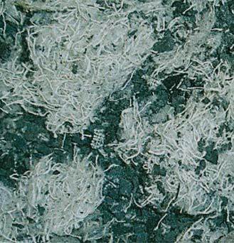 Fot. 2. Granulat tkaninowo-gumowy – gęstość objętościowa: 340 kg/m3, granulat gumowy zanieczyszczony kłaczkami z włókna bawełnianego, frakcja ziarna: 2×4 mm