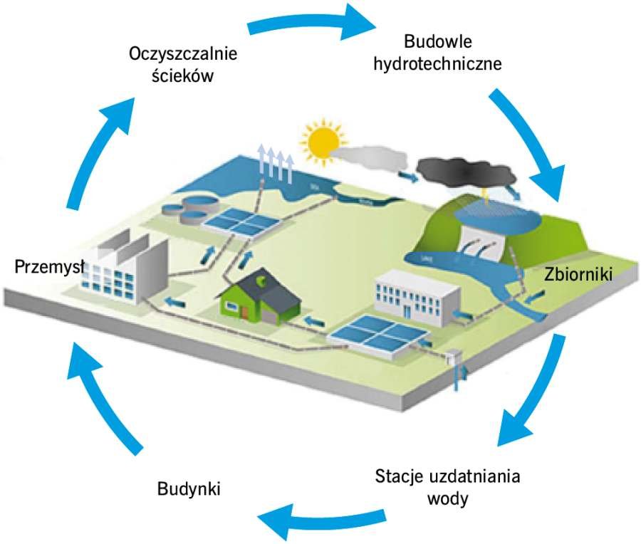 RYS. 1. Łańcuch naturalnego obiegu wody; rys.: BASF Polska