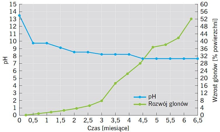rys1 korozja biologiczna 1