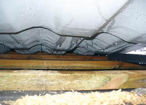 Fot. 1–2. Przyczyną oględzin tego dachu były zacieki na poddaszu spowodowane skroplinami powstającymi po wewnętrznej stronie MWK. Okazało się, że wszystkie łaty były mokre i zapleśniałe. Ilość pleśni zależała od miejsca pod profilem blach, gęstości słojó.