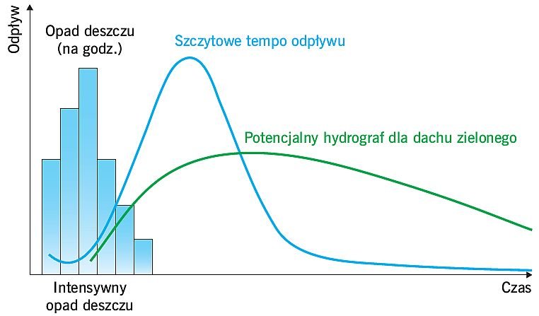 rys2 ekologiczne renowacje dachow plaskich