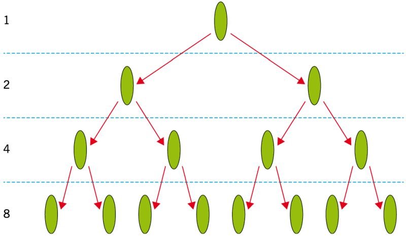 fys1 ocena 1