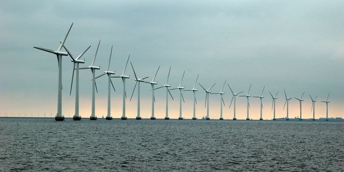 Rozw&oacute;j morskiej energetyki wiatrowej w ocenie NIK, fot. www.freeimages.com