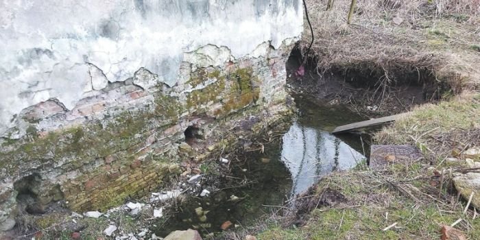 Renowacja przy takich obciążeniach wilgocią wymaga bardzo starannej diagnostyki, fot. M. Rokiel