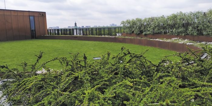 Zieleń może pokrywać całą powierzchnię dachu lub tylko jej fragment, fot. M. Samulska
