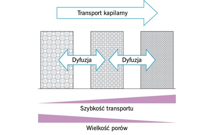 kierunek-kapilarnego-transportu