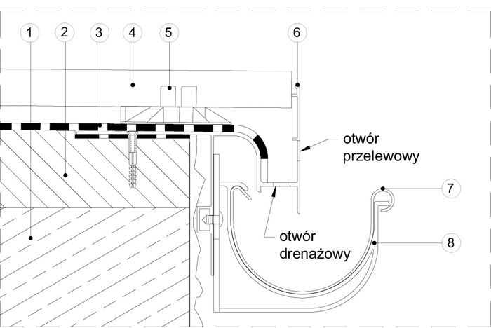 rys-dziewiec